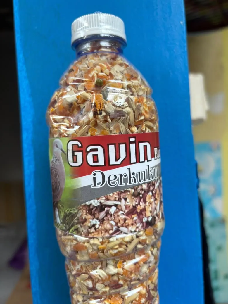 Foto Gavin